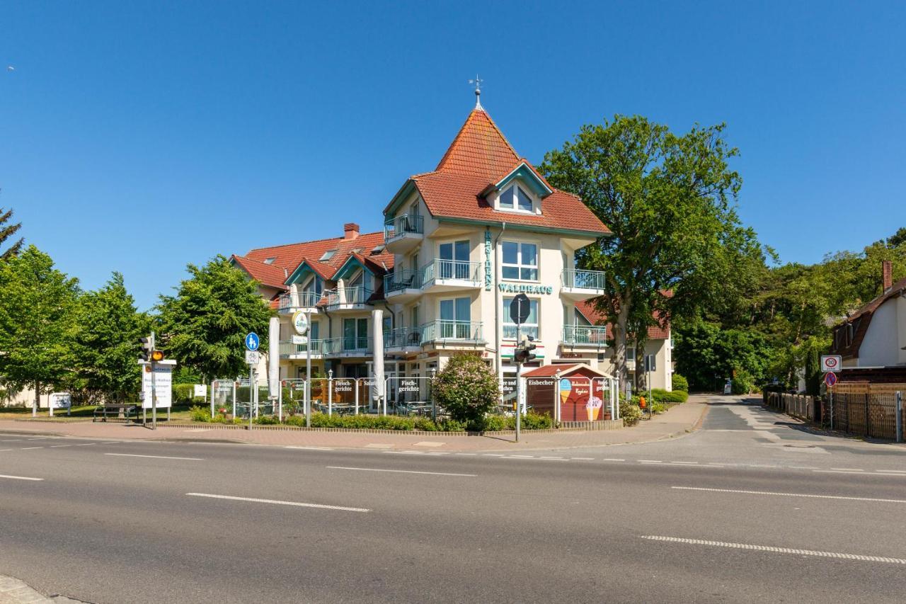 Anemone Apartment Zempin